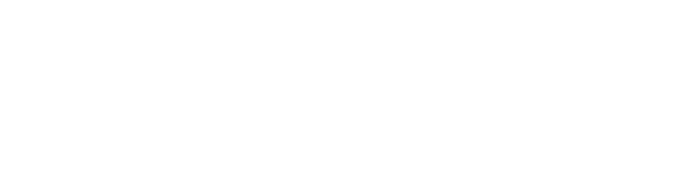 Thermage FLX
